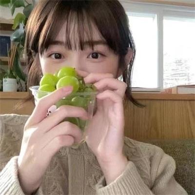 企鹅之岛：福克兰